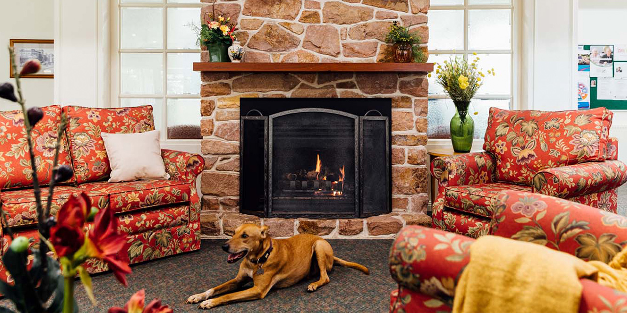 Dog in front of fireplace